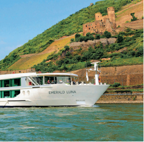 Restaurant/Bar Steward